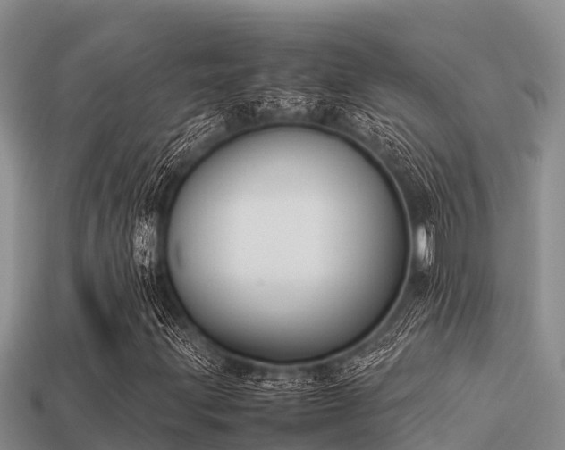 X0000113211203200909171527