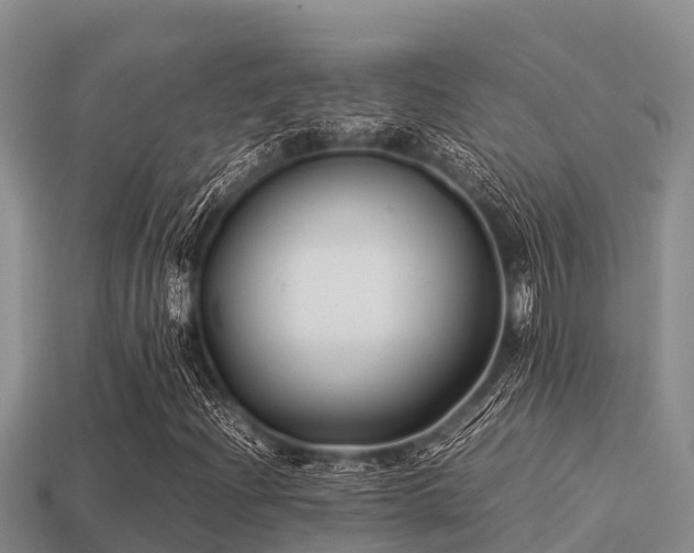 X0000113211204200909171527