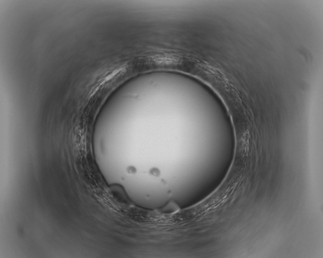 X0000113211205200909171527