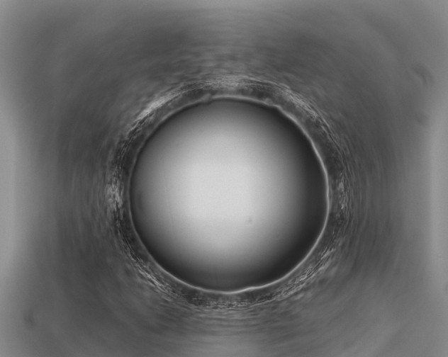 X0000113211206200909171527