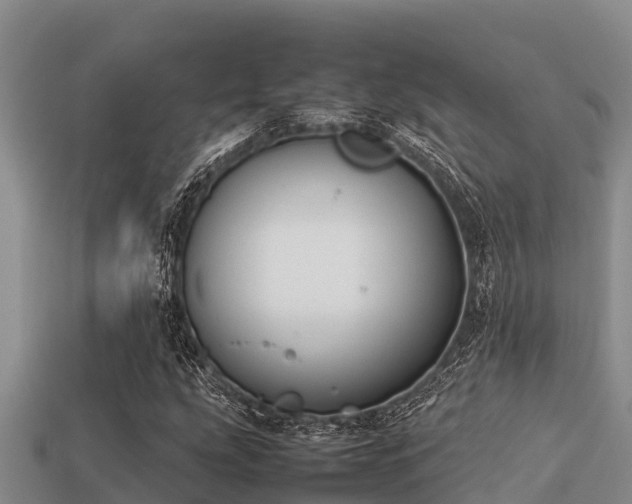 X0000113211207200909171527