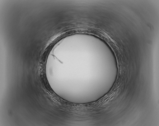 X0000113211208200909171527