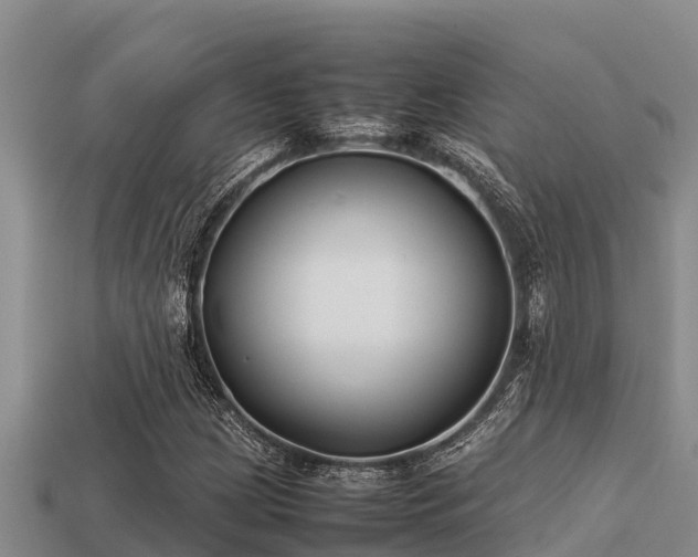 X0000113211209200909171527