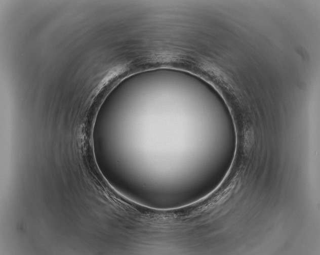 X0000113211210200909171527