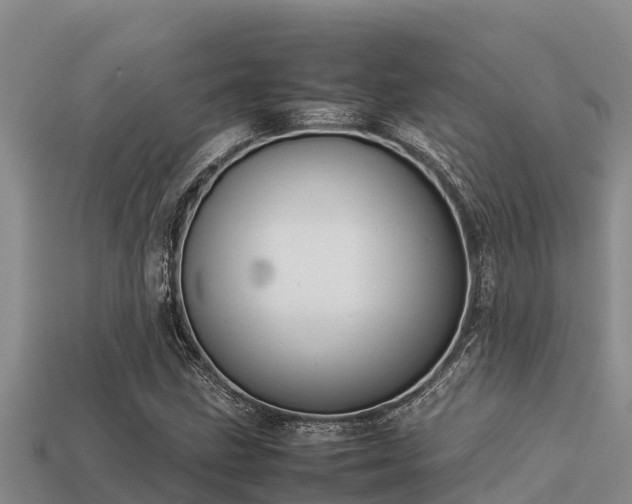 X0000113211211200909171527