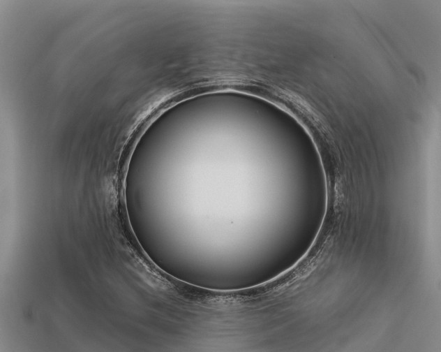 X0000113211212200909171527