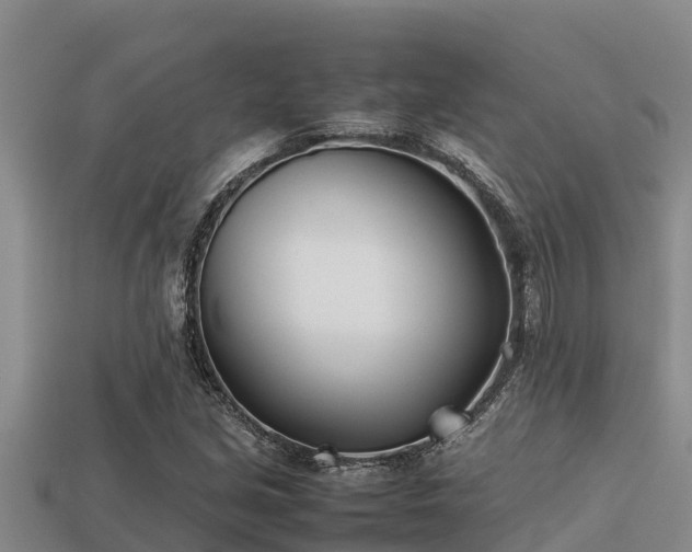 X0000113211213200909171527