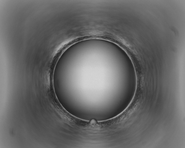 X0000113211214200909171527