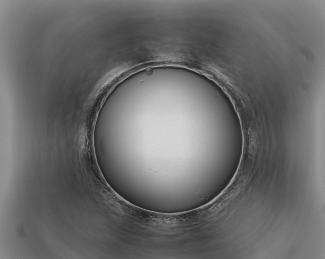 X0000113211215200909171527