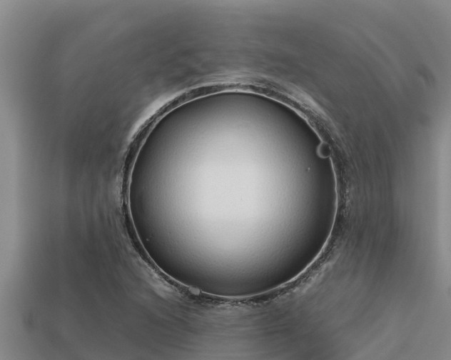 X0000113211216200909171527