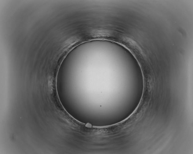 X0000113211217200909171527