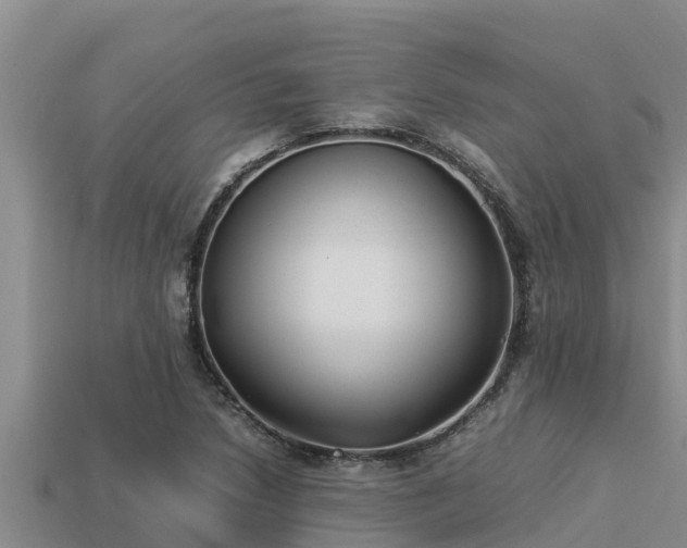 X0000113211218200909171527