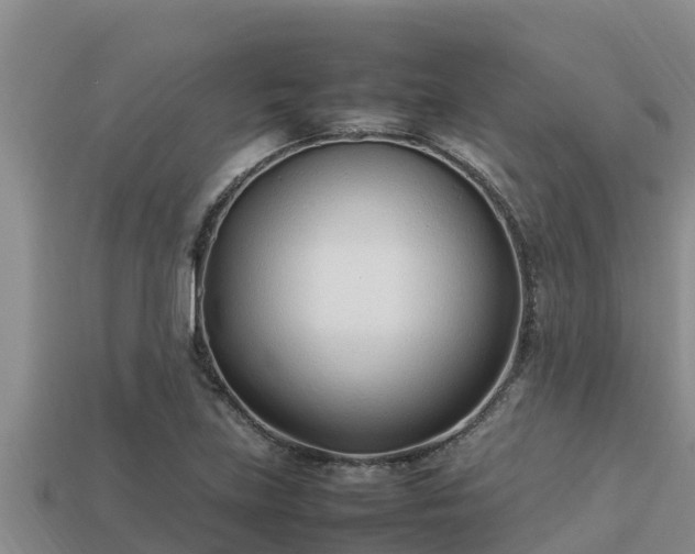 X0000113211219200909171527