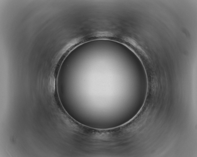 X0000113211221200909171527