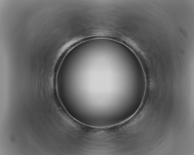 X0000113211222200909171527