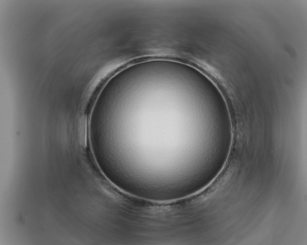 X0000113211223200909171527