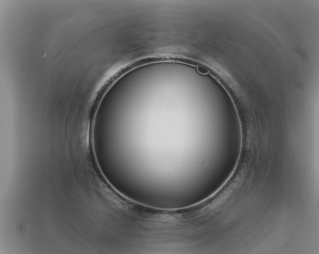 X0000113211224200909171527