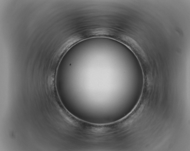 X0000113211225200909171527