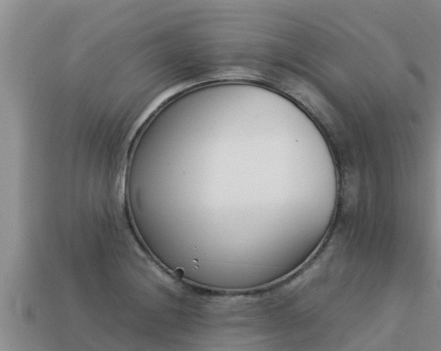 X0000113211228200909171527