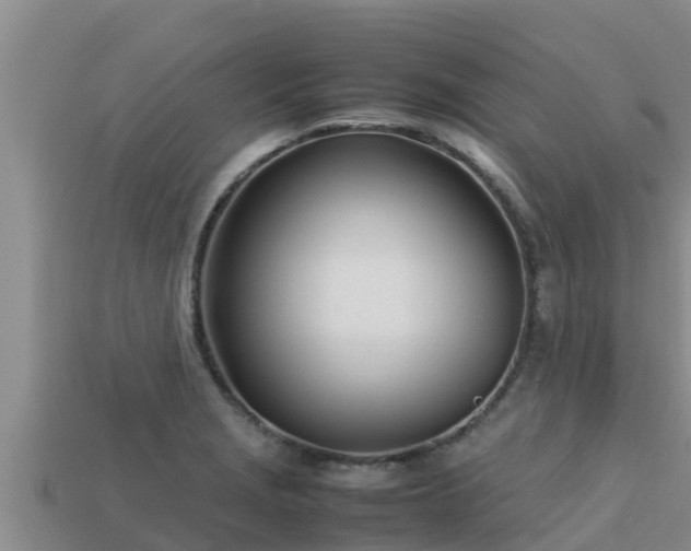 X0000113211229200909171527