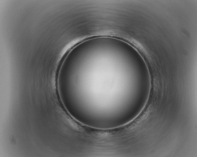 X0000113211230200909171527