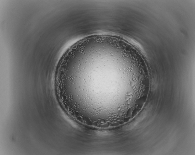 X0000113211231200909171527