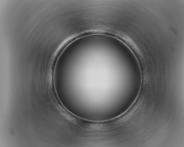 X0000113211232200909171527