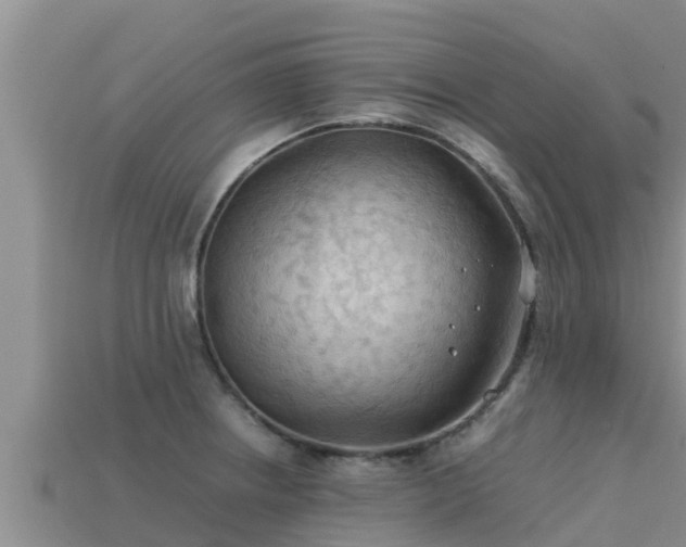 X0000113211234200909171527