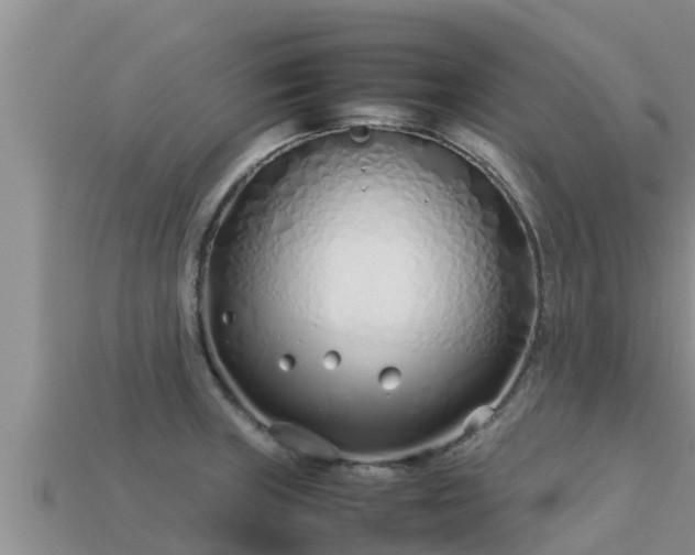 X0000113211235200909171527