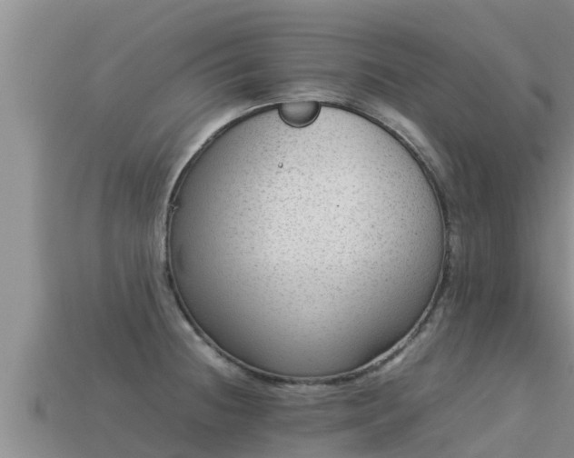 X0000113211236200909171527