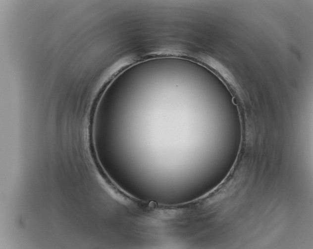 X0000113211237200909171527