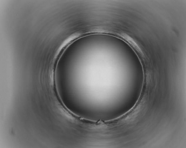 X0000113211238200909171527