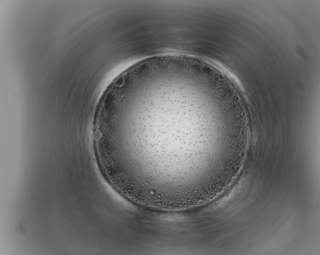 X0000113211239200909171527