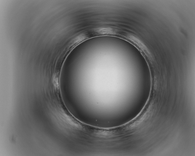 X0000113211241200909171528