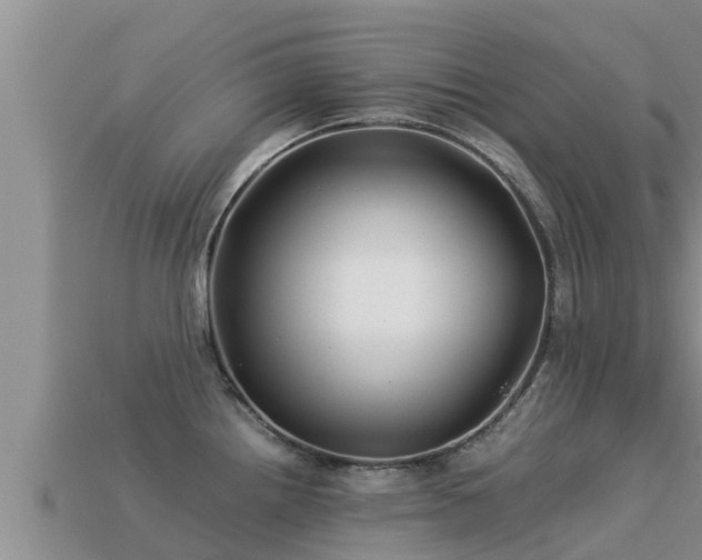 X0000113211242200909171528