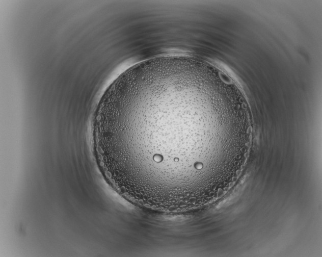 X0000113211243200909171528