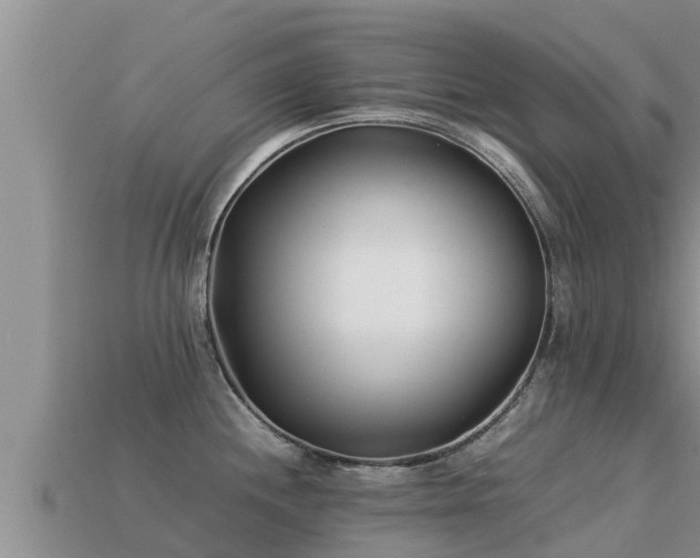 X0000113211244200909171528