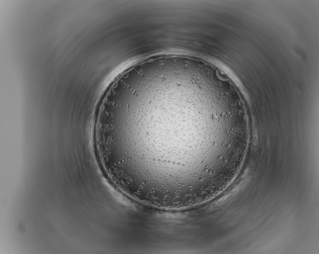 X0000113211245200909171528