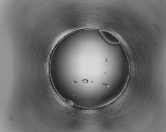 X0000113211246200909171528