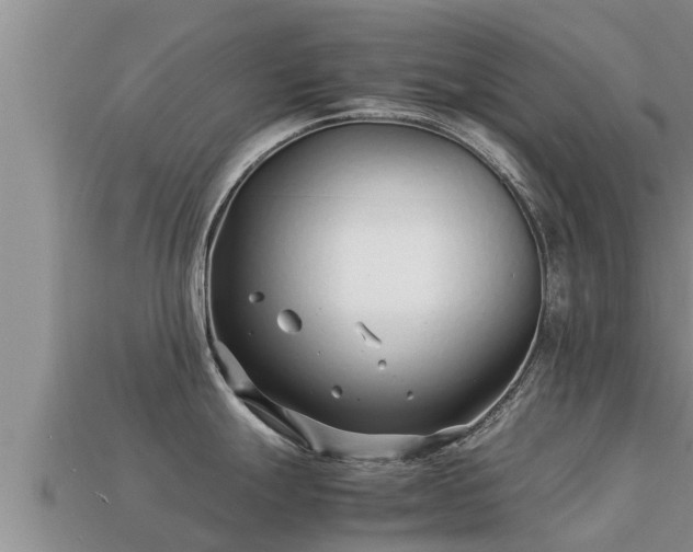 X0000113211247200909171528