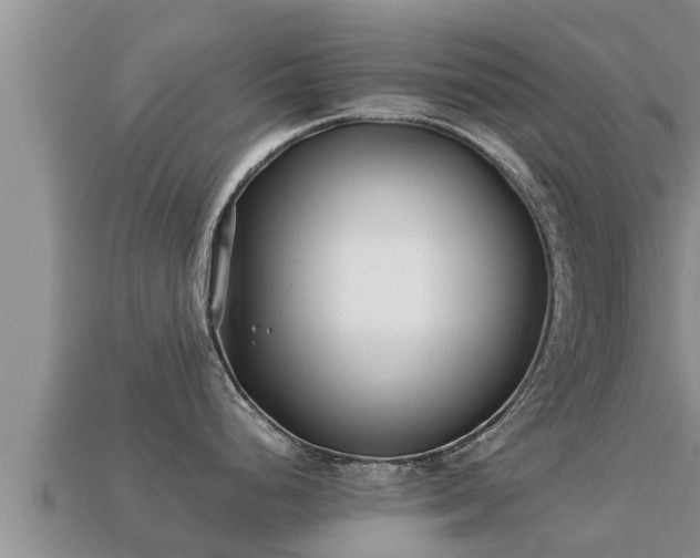 X0000113211248200909171528