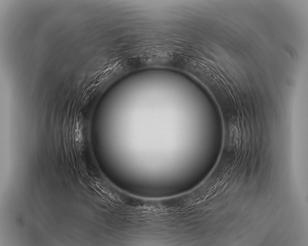 X0000113211250200909171527