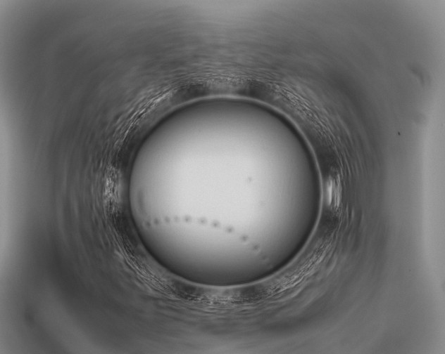 X0000113211251200909171527