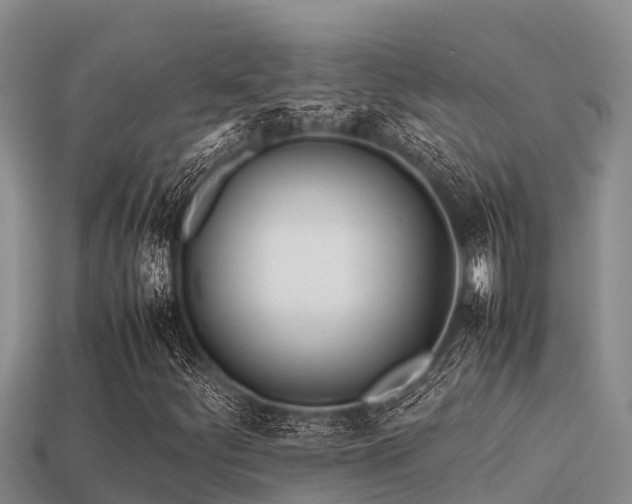 X0000113211252200909171527