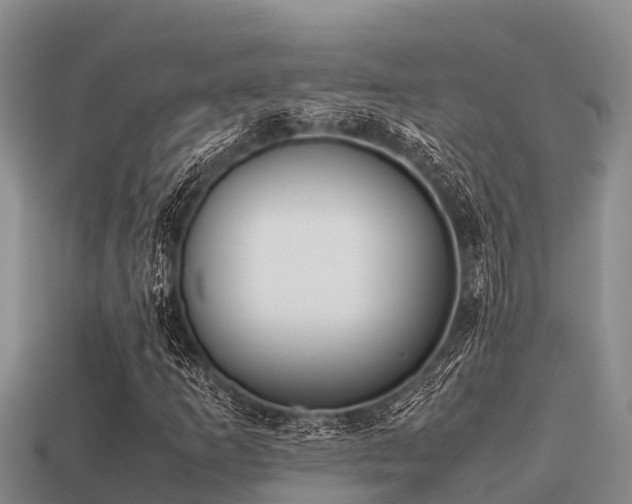 X0000113211253200909171527