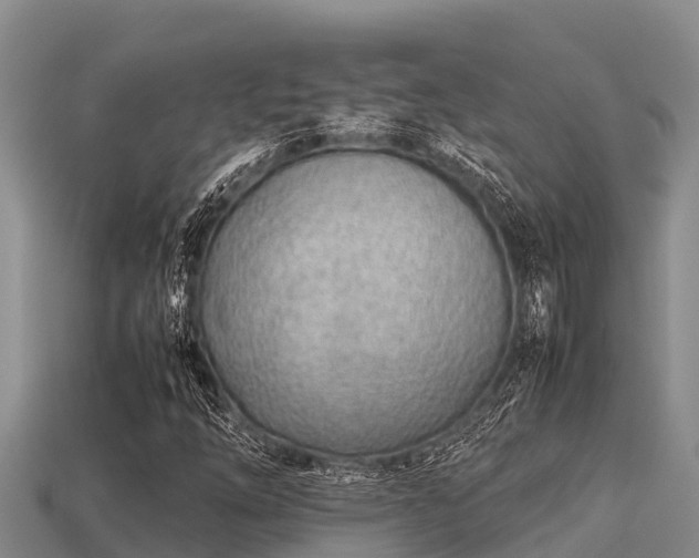 X0000113211254200909171527