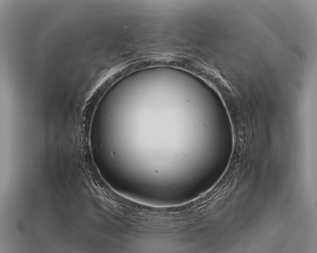 X0000113211256200909171527