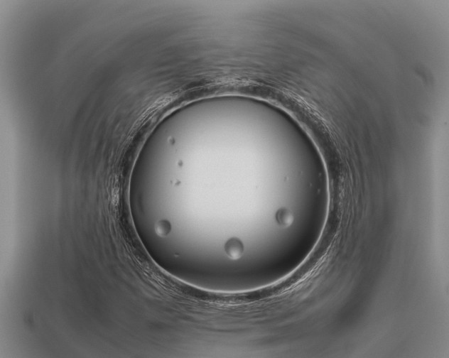 X0000113211257200909171527