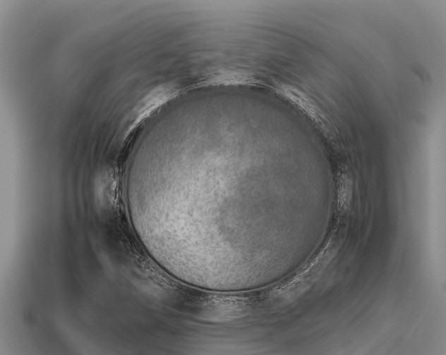 X0000113211258200909171527