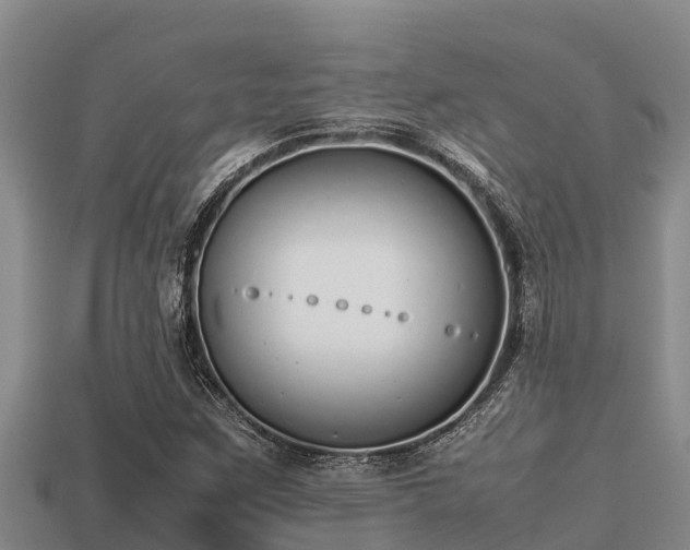 X0000113211259200909171527